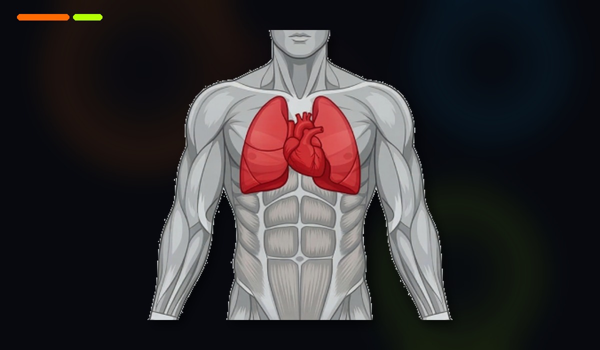 Anatomical illustration of target area Conditioning